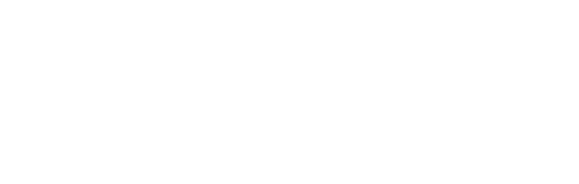 RapiDetect