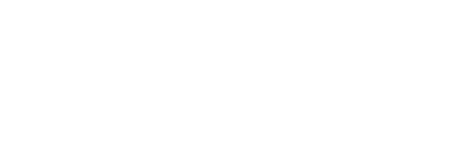 Cortex