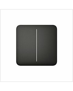 Ajax SoloButton 2-Gang 55, 45119.144.BL