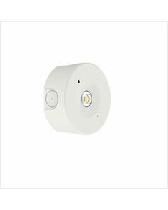 DualPin Dual-Install Emergency Downlight (Open Lens, Corridor Lens & Surface Mount Base), DUALPIN-3H-ST