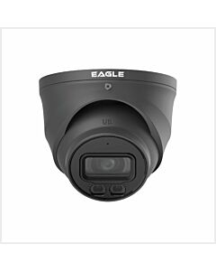 EAGLE 4K Smart Dual Light HDCVI Fixed-focal Eyeball Camera, EAGLE-8COL-TUR3-FG