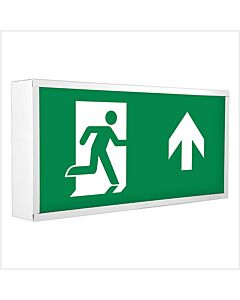 Ebox Surface Exit Box, EBOX-3