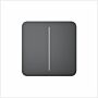 Ajax SoloButton 2-Gang 55 Graphite