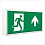 Ebox Surface Exit Box