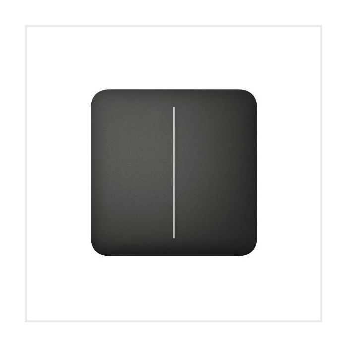 Ajax SoloButton 2-Gang 55 main product photo